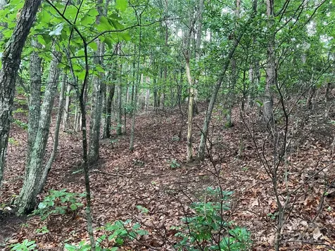 0 Valley View Court Hickory NC 28602