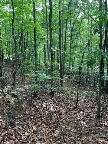 0 Valley View Court Hickory NC 28602
