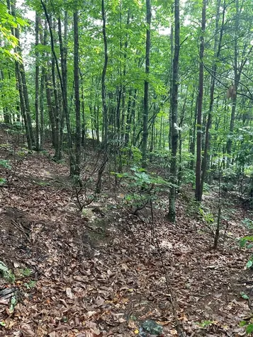 0 Valley View Court Hickory NC 28602