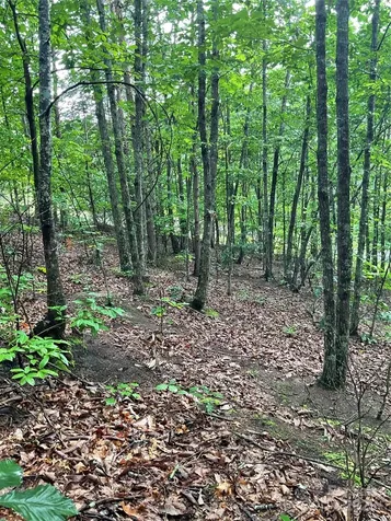 0 Valley View Court Hickory NC 28602