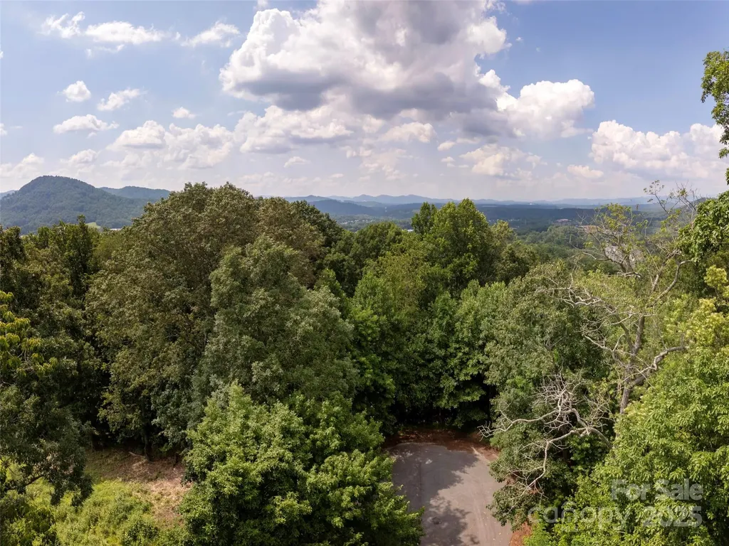 61 Arabella Lane Arden NC 28704