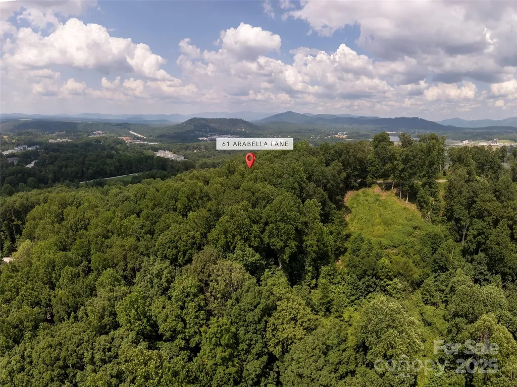 61 Arabella Lane Arden NC 28704