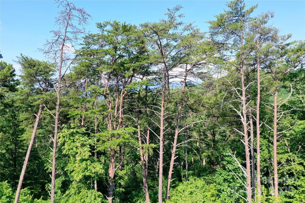 241 Rock Ledge Drive Lake Lure NC 28746