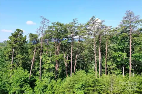 241 Rock Ledge Drive Lake Lure NC 28746