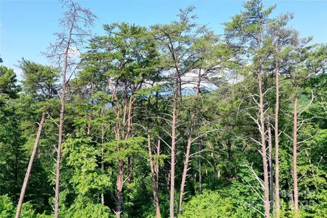 241 Rock Ledge Drive Lake Lure NC 28746