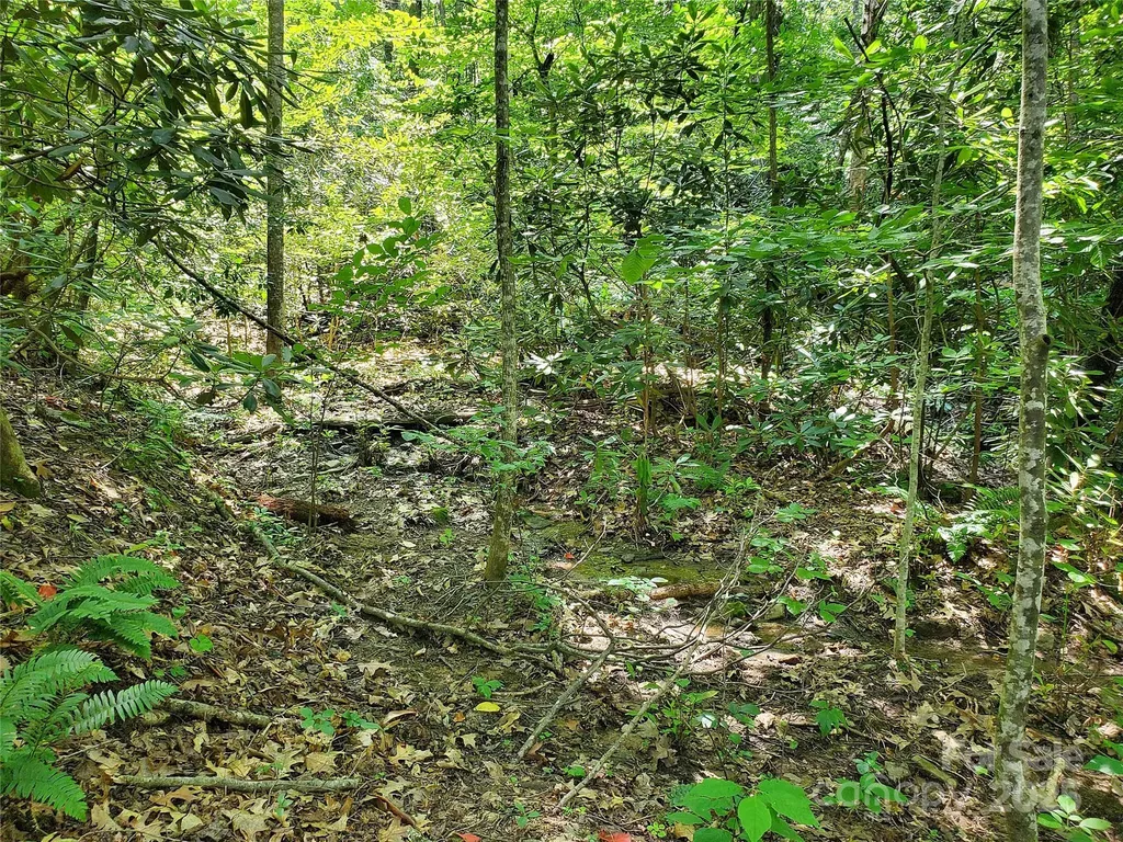 000 Green River Cove Road Saluda NC 28773