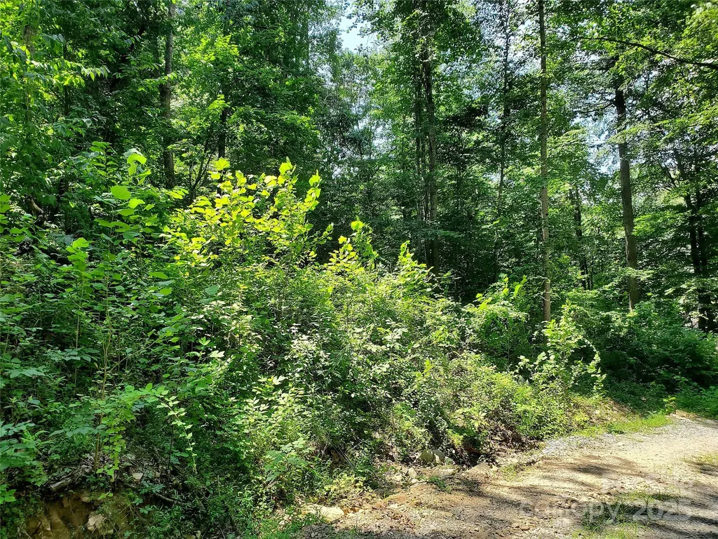 000 Green River Cove Road Saluda NC 28773