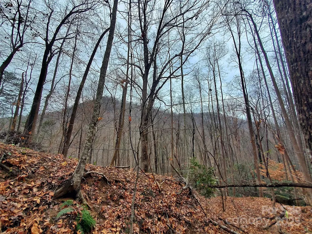 000 Green River Cove Road Saluda NC 28773