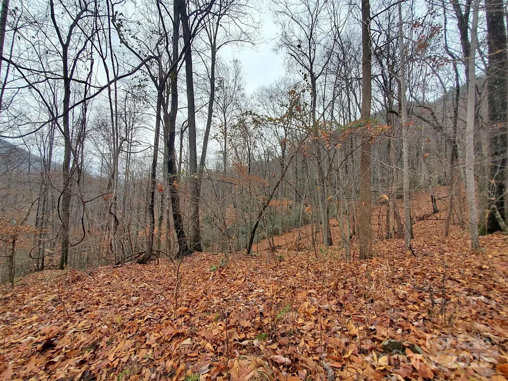 000 Green River Cove Road Saluda NC 28773