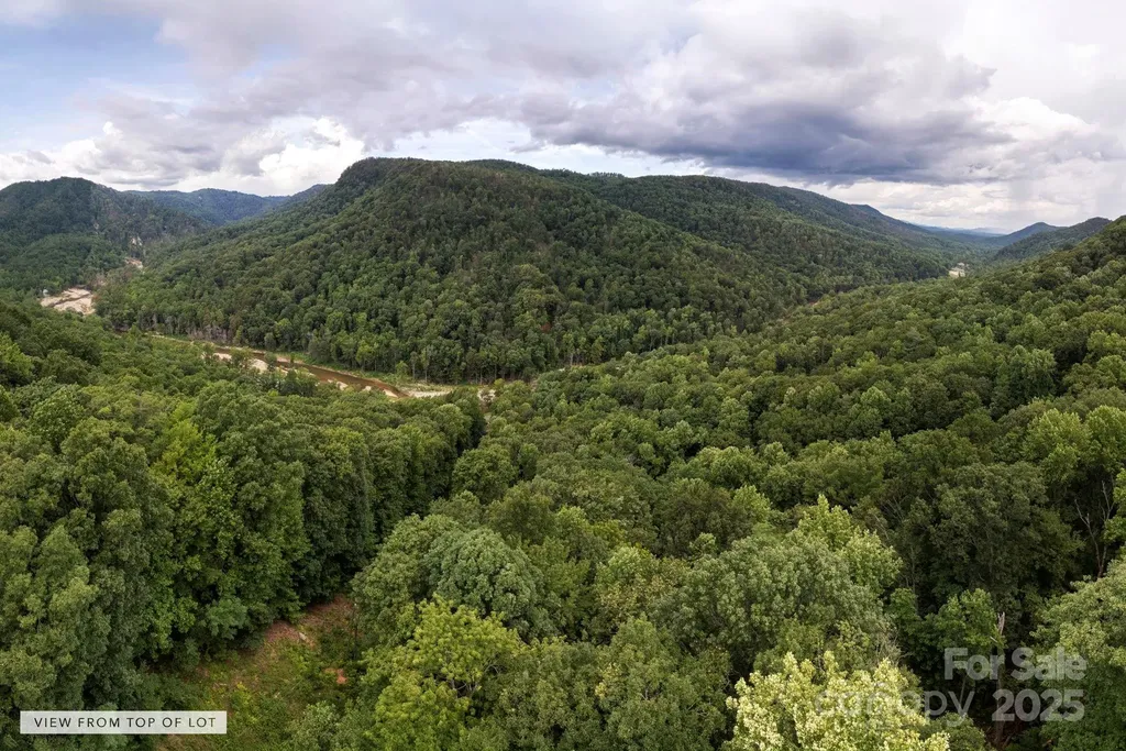000 Green River Cove Road Saluda NC 28773