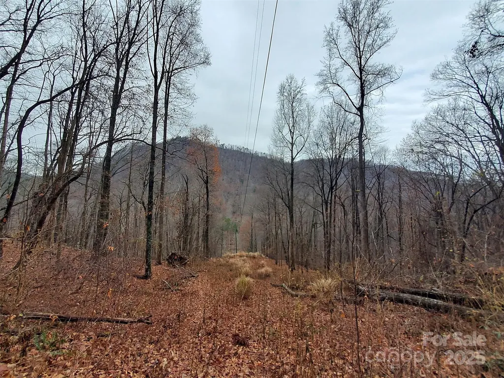 000 Green River Cove Road Saluda NC 28773
