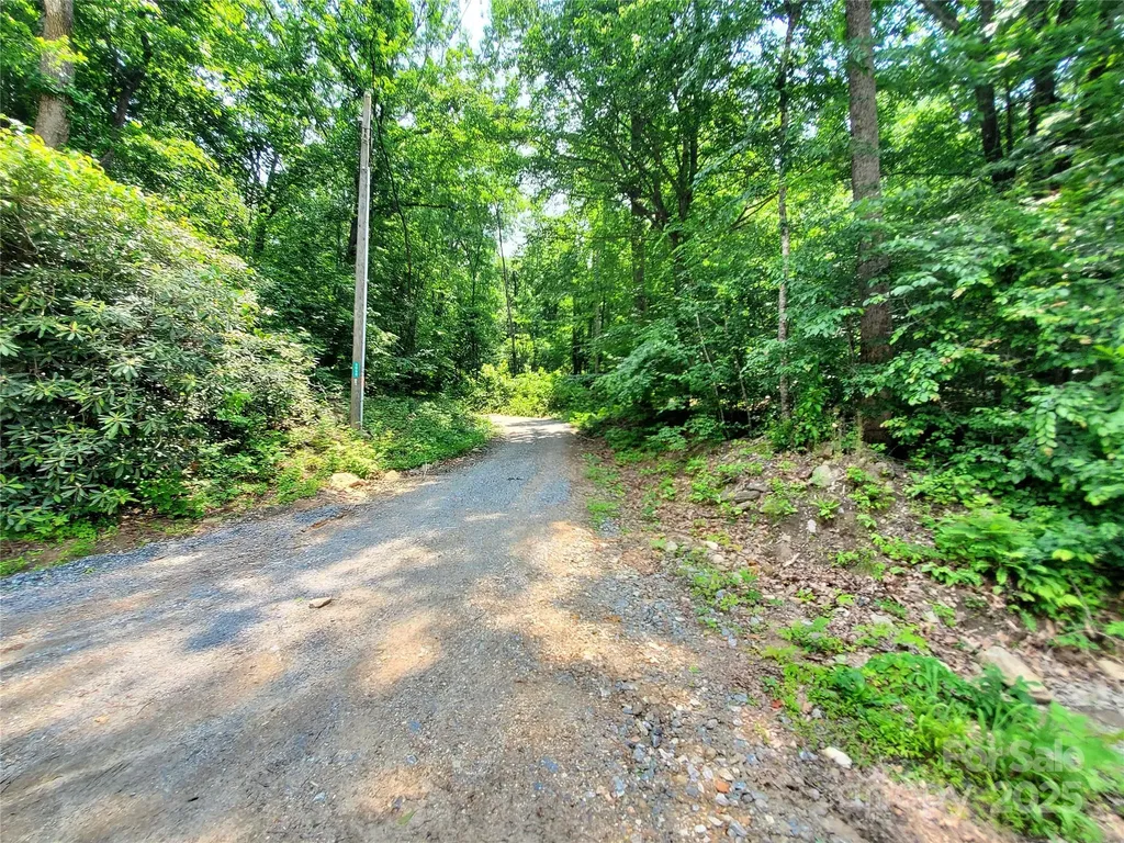 000 Green River Cove Road Saluda NC 28773