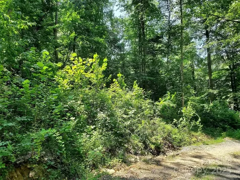 000 Green River Cove Road Saluda NC 28773