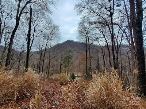 000 Green River Cove Road Saluda NC 28773