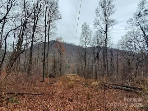 000 Green River Cove Road Saluda NC 28773