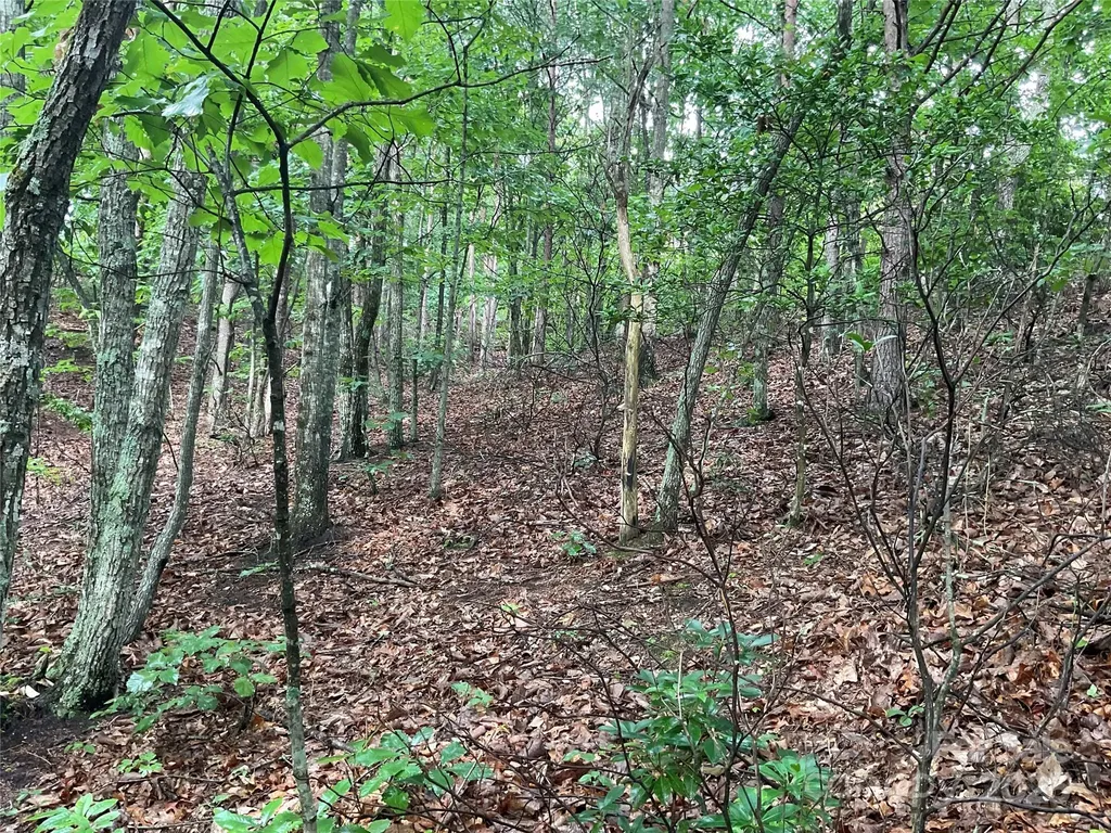 0 Valley View Court Hickory NC 28602
