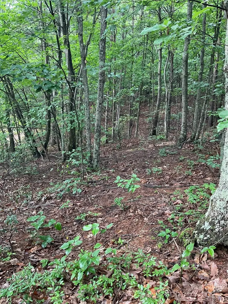 0 Valley View Court Hickory NC 28602