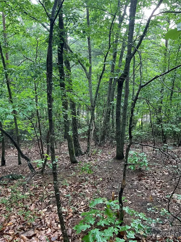 0 Valley View Court Hickory NC 28602
