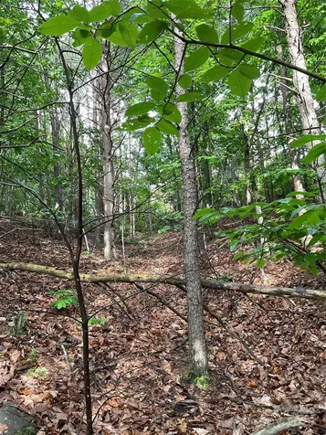 0 Valley View Court Hickory NC 28602