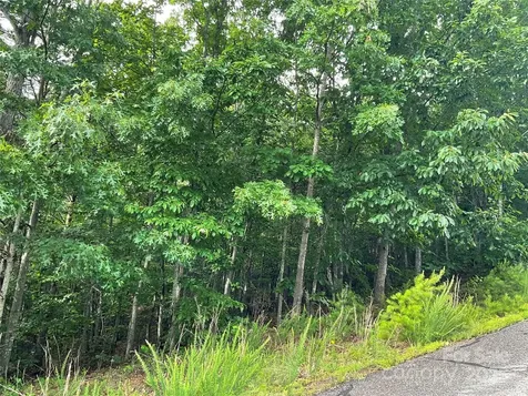 0 Valley View Court Hickory NC 28602