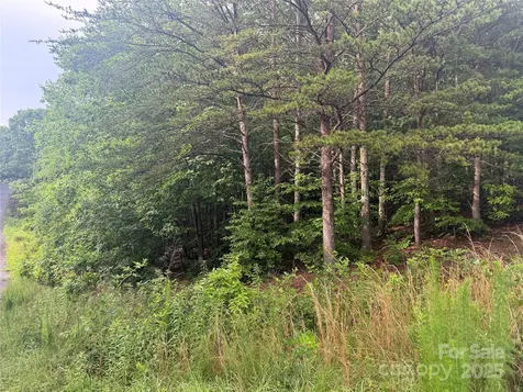 0 Valley View Court Hickory NC 28602