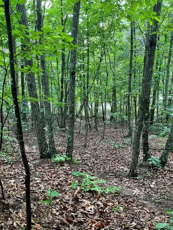 0 Valley View Court Hickory NC 28602