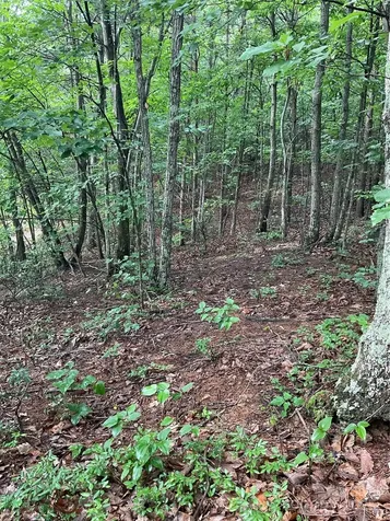 0 Valley View Court Hickory NC 28602