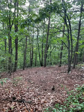 0 Valley View Court Hickory NC 28602