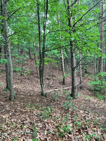 0 Valley View Court Hickory NC 28602