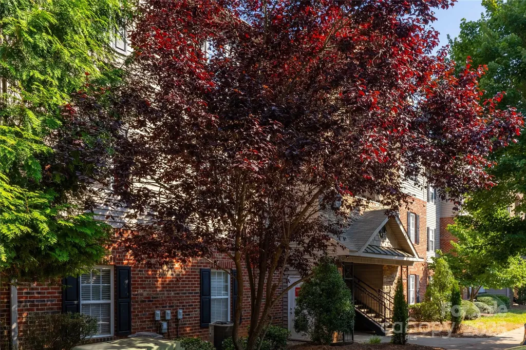 332 Appeldoorn Circle Asheville NC 28803