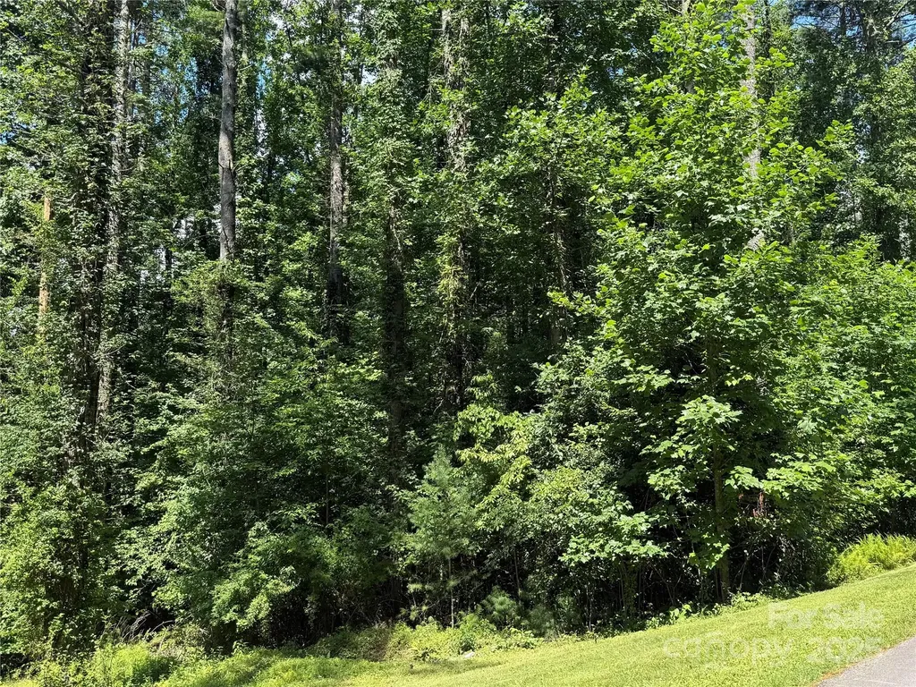 Lot 37 Mountain Brook Trail Brevard NC 28712