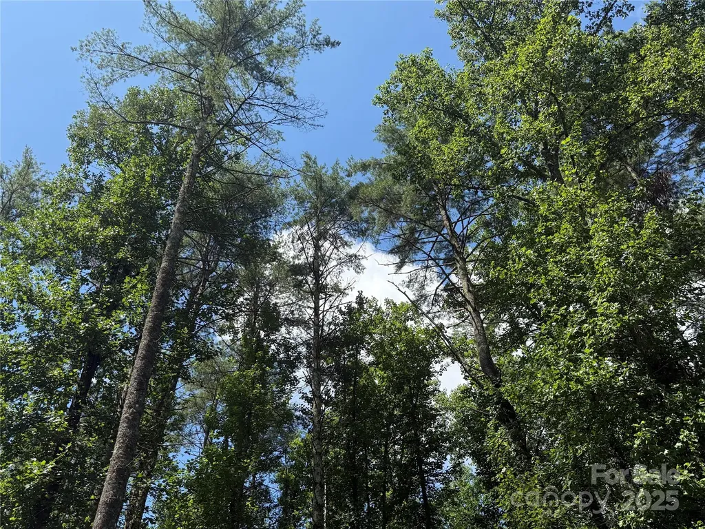 Lot 37 Mountain Brook Trail Brevard NC 28712