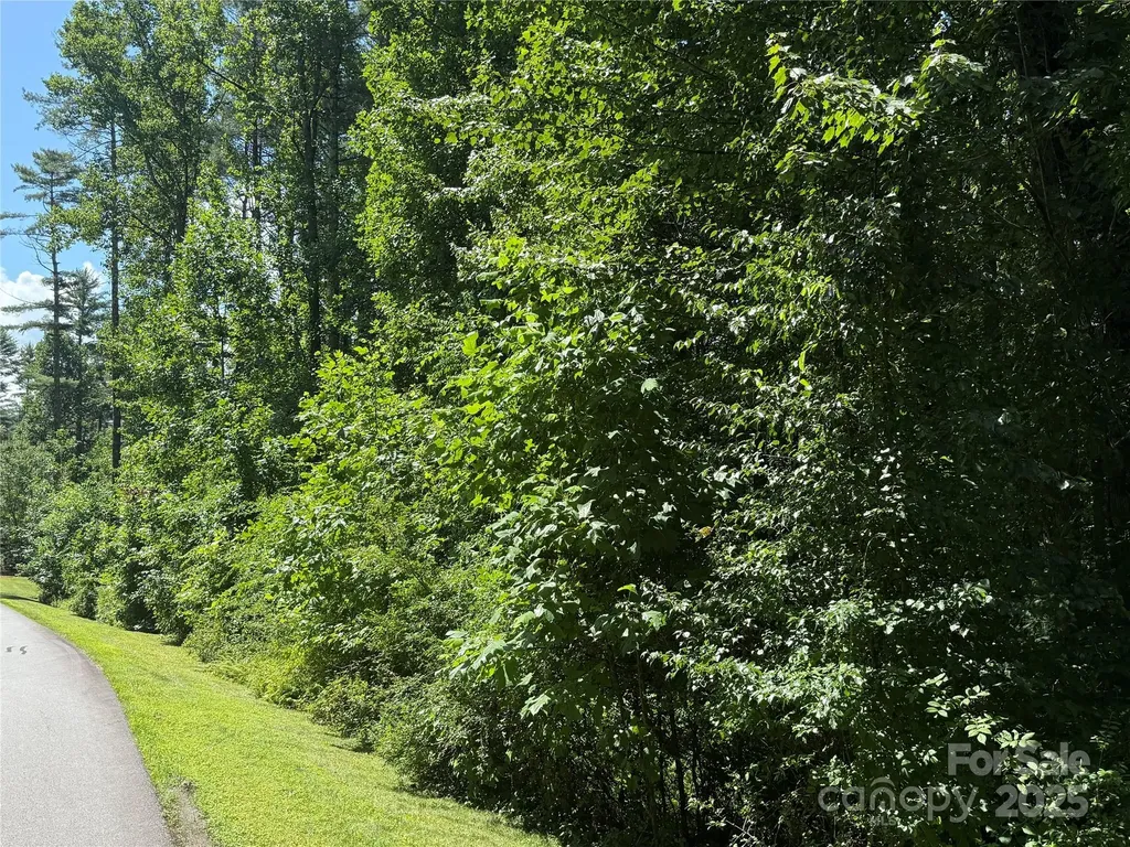 Lot 37 Mountain Brook Trail Brevard NC 28712