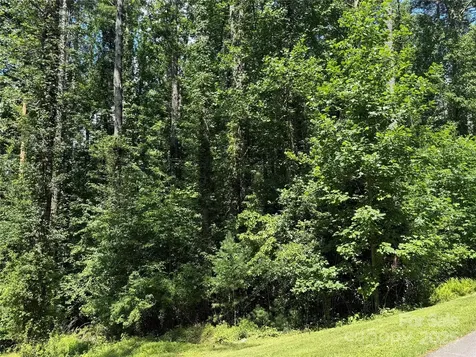 Lot 37 Mountain Brook Trail Brevard NC 28712