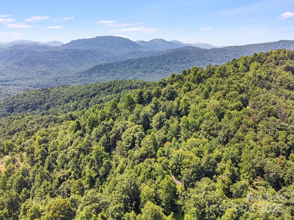 2523 Creston Drive Black Mountain NC 28711