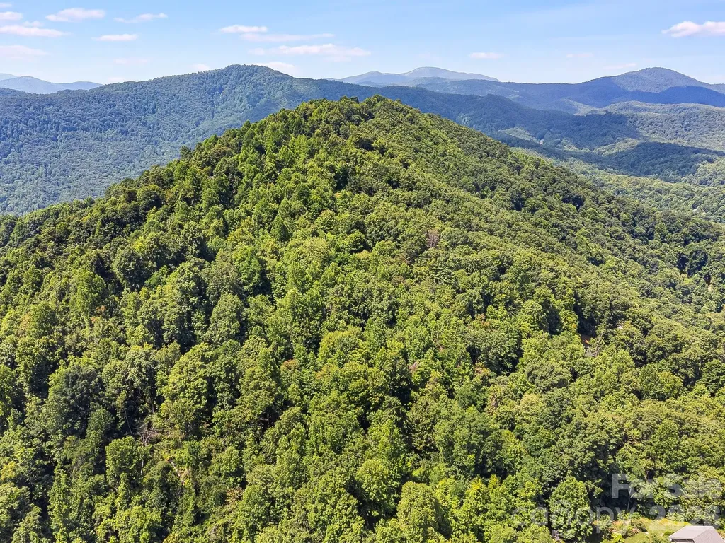 2523 Creston Drive Black Mountain NC 28711