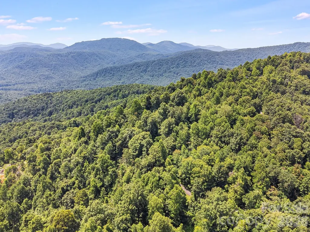 2523 Creston Drive Black Mountain NC 28711