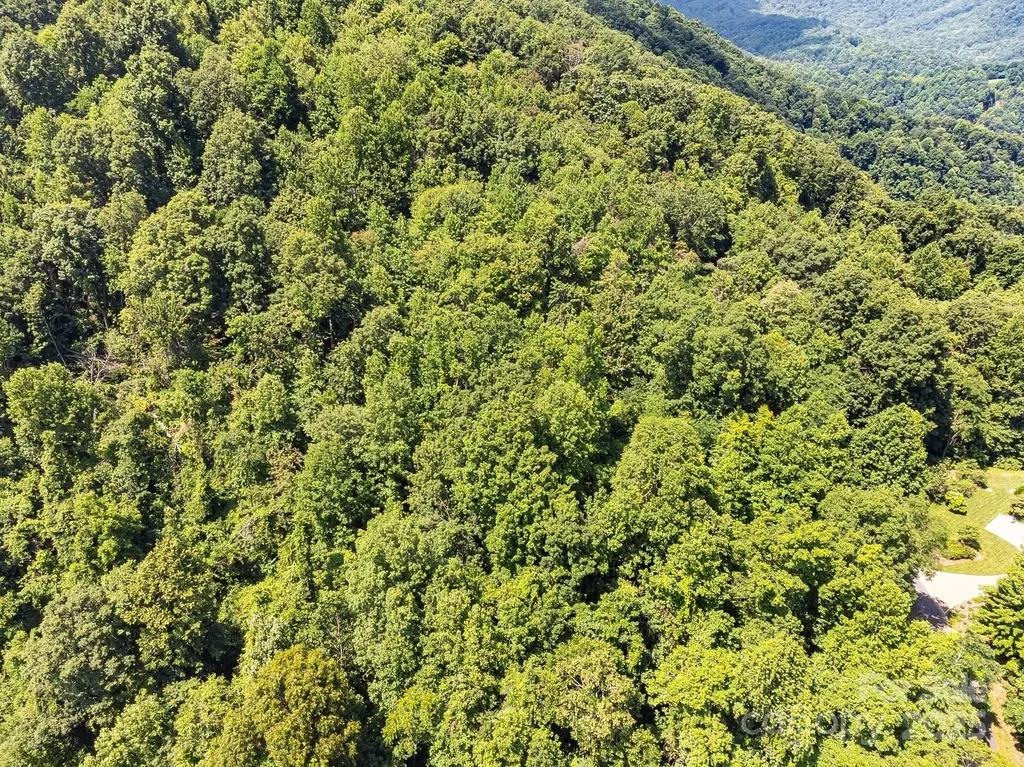 2523 Creston Drive Black Mountain NC 28711
