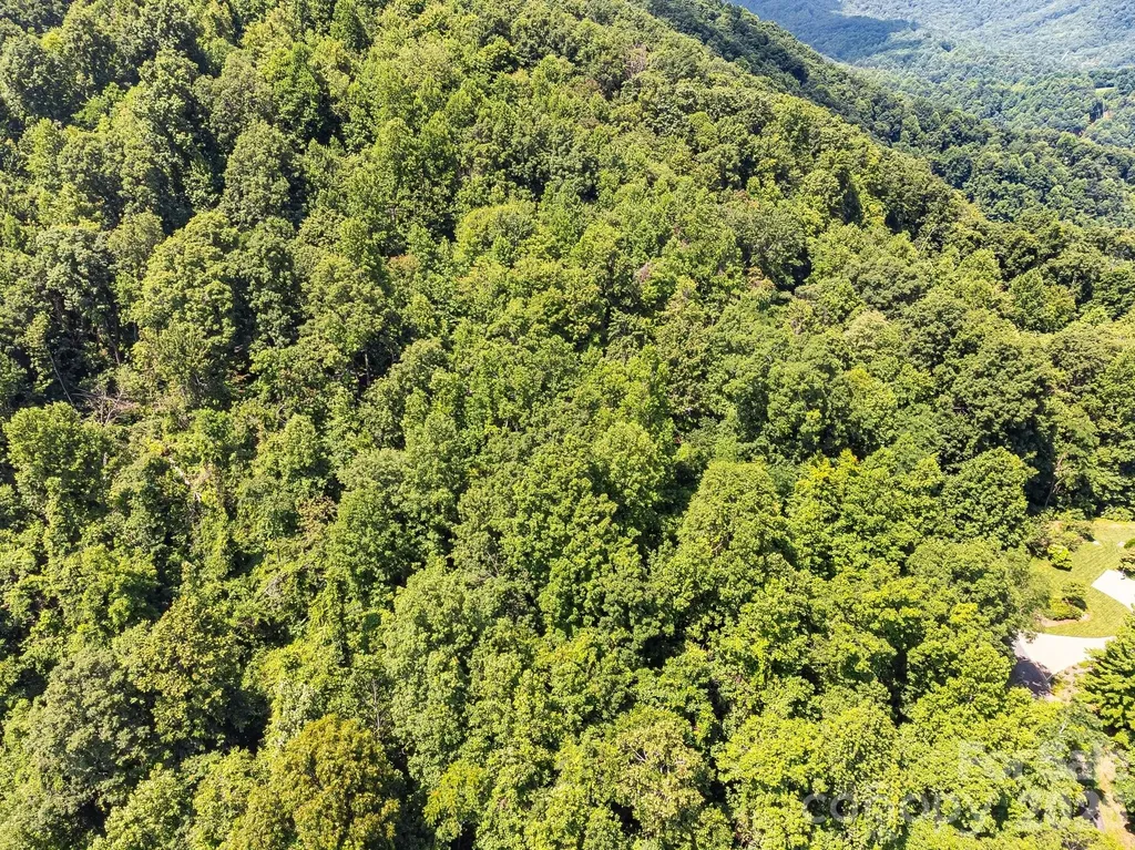 2523 Creston Drive Black Mountain NC 28711