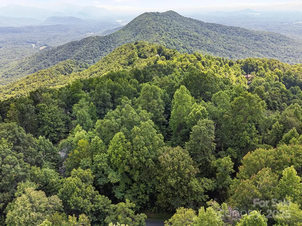 2523 Creston Drive Black Mountain NC 28711