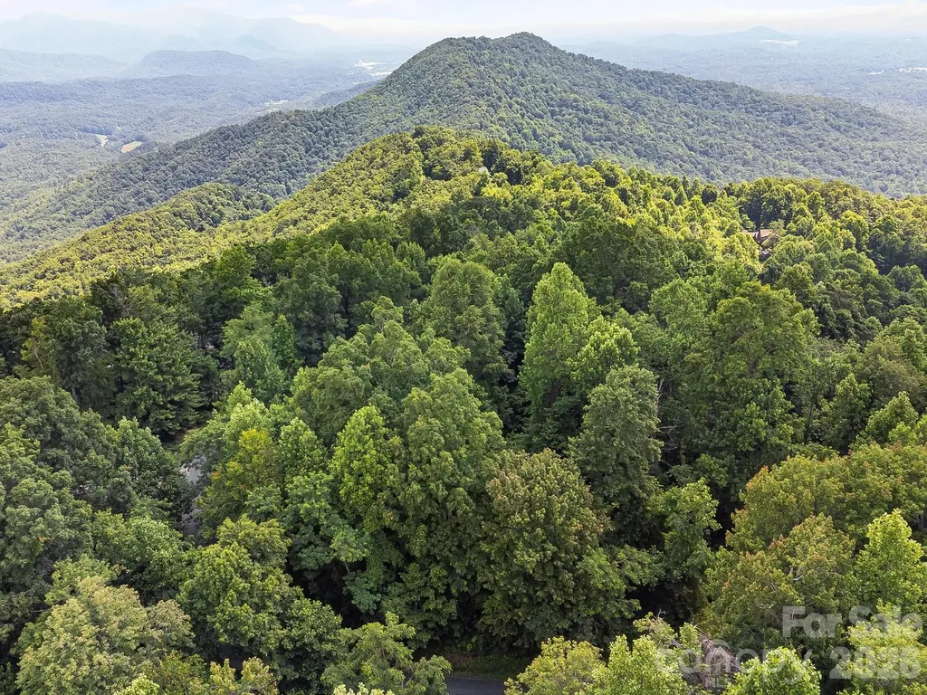 2523 Creston Drive Black Mountain NC 28711