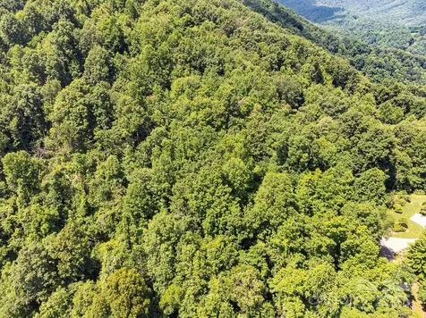 2523 Creston Drive Black Mountain NC 28711