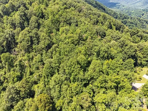 2523 Creston Drive Black Mountain NC 28711