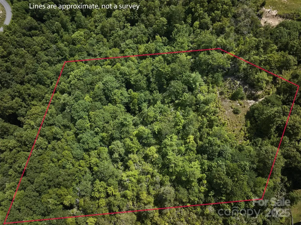 Lot 24 Piedmont Way Bryson City NC 28713