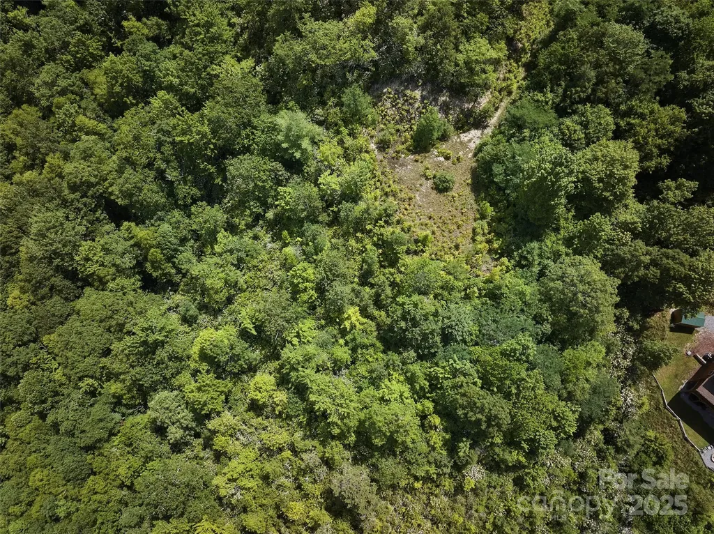 Lot 24 Piedmont Way Bryson City NC 28713