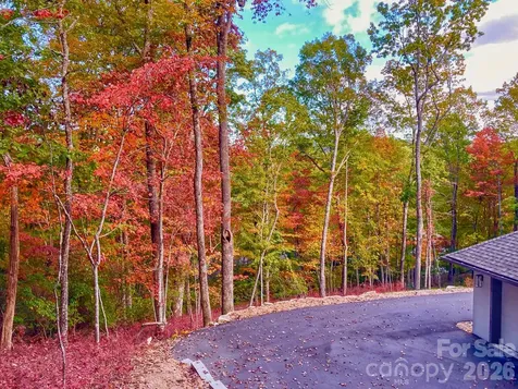 151 Unoga Court Brevard NC 28712