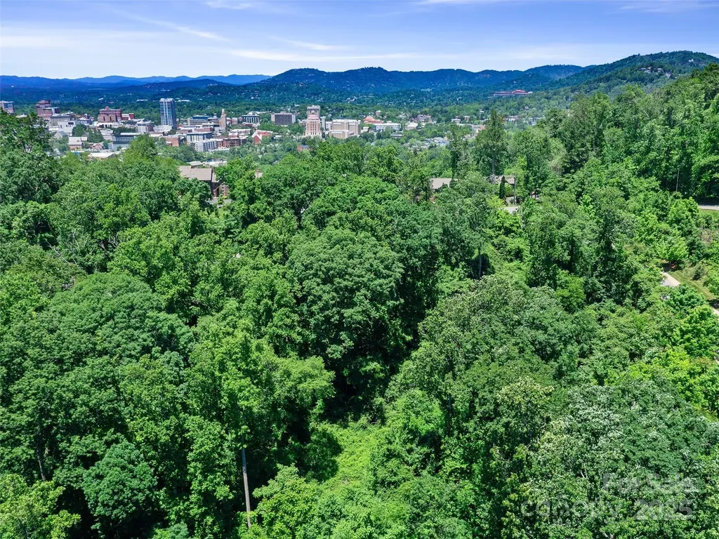 44 Samuel Ashe Drive Asheville NC 28805