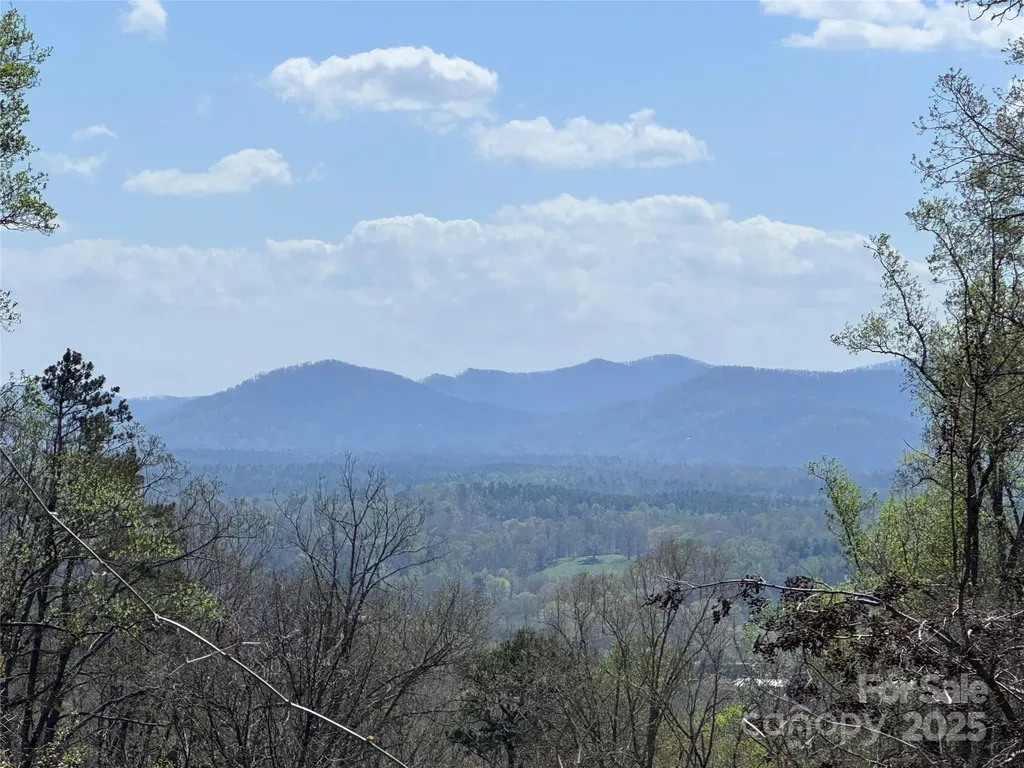 44 Samuel Ashe Drive Asheville NC 28805