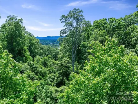 44 Samuel Ashe Drive Asheville NC 28805