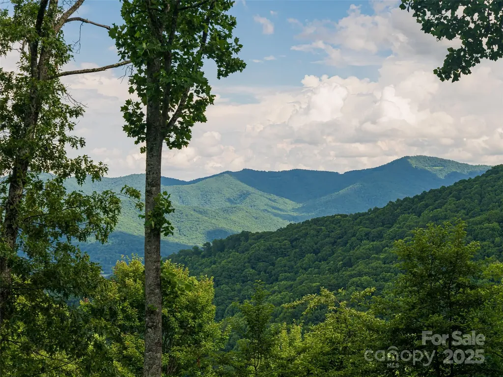 130 Bluff Creek Terrace Candler NC 28715